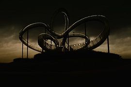 Tiger&Turtle bei Nacht by Linda Lu