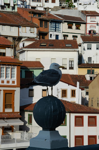 Blick auf Cudillero