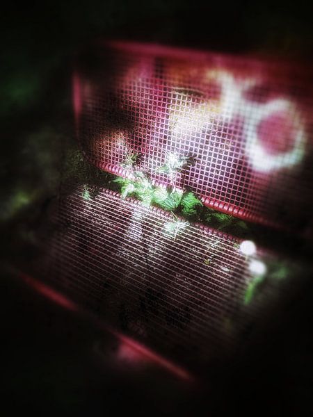 Overgrown bench by Elo Mars