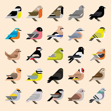 Grafische vogels - 25 Nederlandse tuinvogels in stijl (geel editie) van Tim de Leeuw