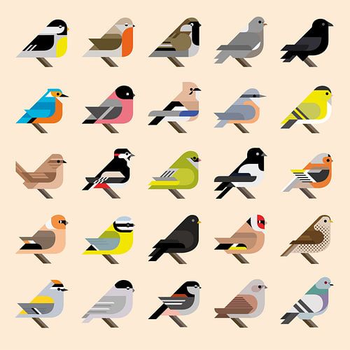 Grafische Vögel - 25 niederländische Gartenvögel mit Stil (gelbe Ausgabe)