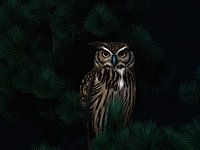 Owl In Needle Tree