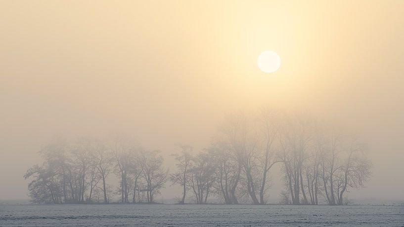 Matin d'hiver par Halma Fotografie