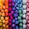 Natuurlijke Schoonheid: Tulpen Regenboog op Canvas van Surreal Media
