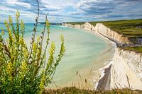 Seven Sisters' chalk cliffs on the coast at Birling Cap, England
