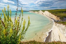 'Seven Sisters' krijtrotsen bij de kust bij Birling Cap, Engeland van Jan Fritz