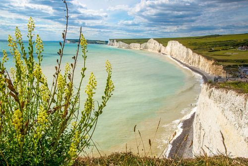 'Seven Sisters' krijtrotsen bij de kust bij Birling Cap, Engeland