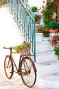 Fahrrad auf der Straße in der Stadt Italien, Ostuni, Apulien von Bianca ter Riet Miniaturansicht