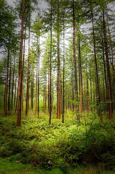 Wandern, wo das WLAN schlecht ist