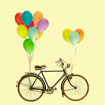The Happy Bicycle van Martin Bergsma