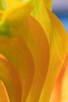 Abstraction
