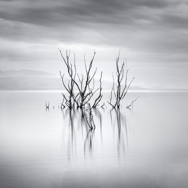 Water Stories II by George Digalakis