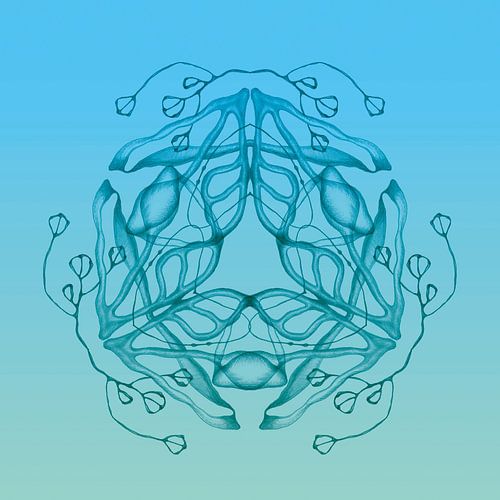 Lucid collection: Triangle