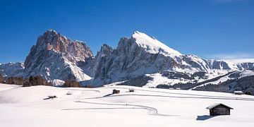 Alpe di Siusi in de Dolomieten van Dieter Meyrl