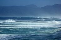 Südafrika, die wilde Küste hohe Wellen um Kapstadt von Discover Dutch Nature Miniaturansicht