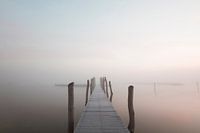 Steiger in de mist