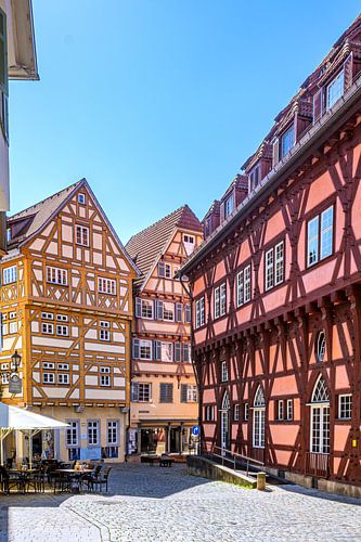 Een idyllisch vakwerkstadje in Esslingen am Neckar