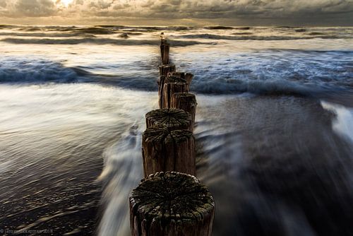 palen van Schoorl in de avond zon