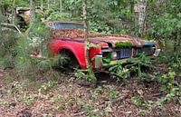 Lincoln -Old Car City, Georgia USA by Willem van Holten thumbnail