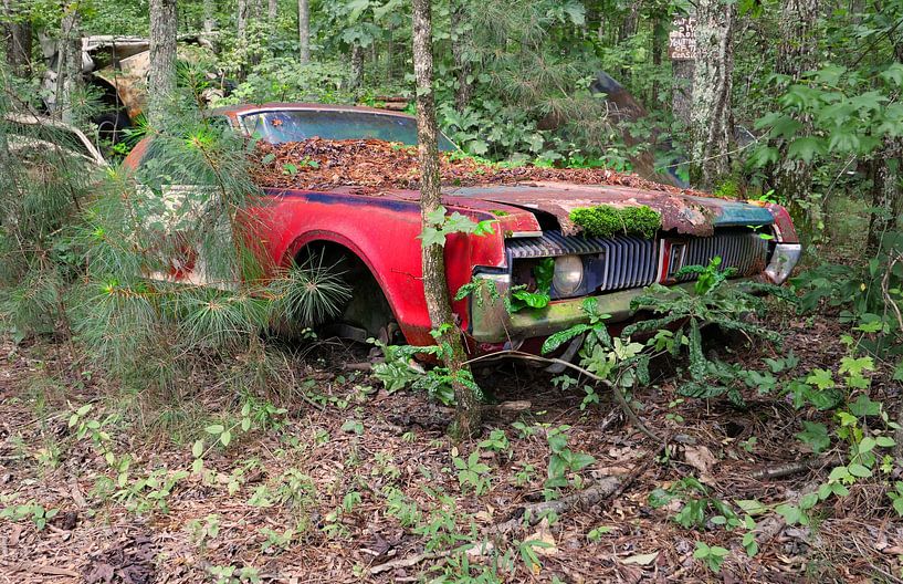 Lincoln -Old Car City, Georgia USA by Willem van Holten