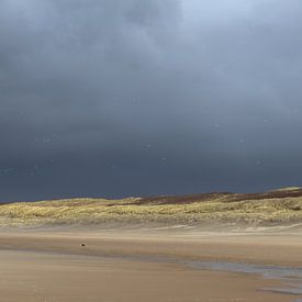 Duinen onder Stormlucht van Noor van Duijvenboden