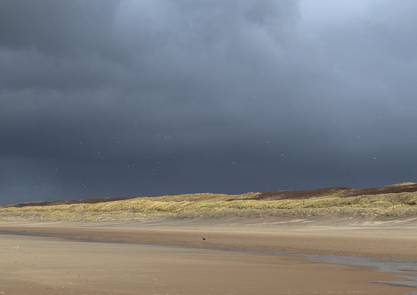 Les dunes sous l'air de la tempête par Noor van Duijvenboden