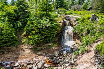 Uitzicht op de waterval bij de Oderteich-vijver van Andreas Völkel