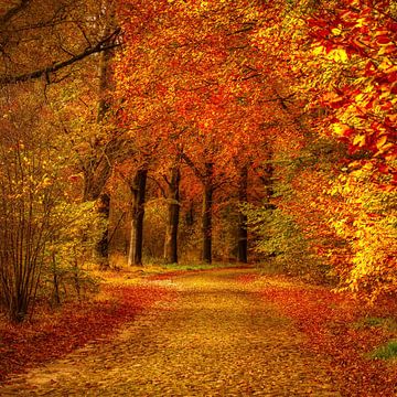 Herfstgoud,  de magie van de herfst van Gea Veenstra