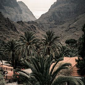 Tenerife | El teide | Photographie de paysage | Voyage sur Sander Spreeuwenberg