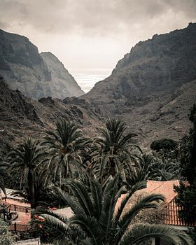 Teneriffa | El teide | Landschaftsfotografie | Reisen