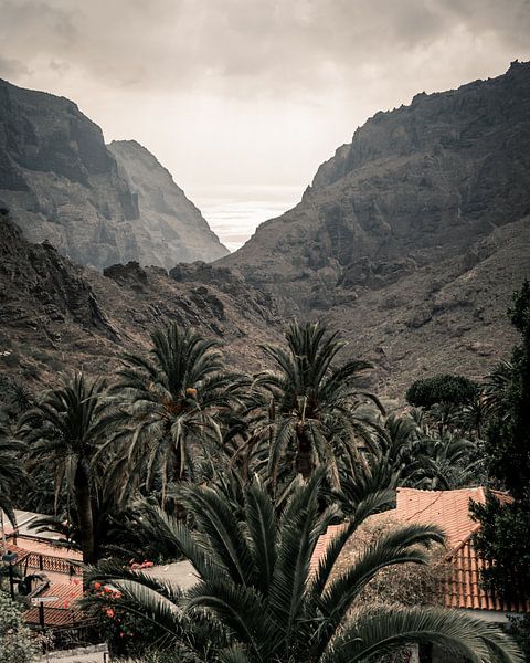 Teneriffa | El teide | Landschaftsfotografie | Reisen von Sander Spreeuwenberg