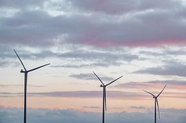 Wind turbines in wind park during sunset by Sjoerd van der Wal Photography