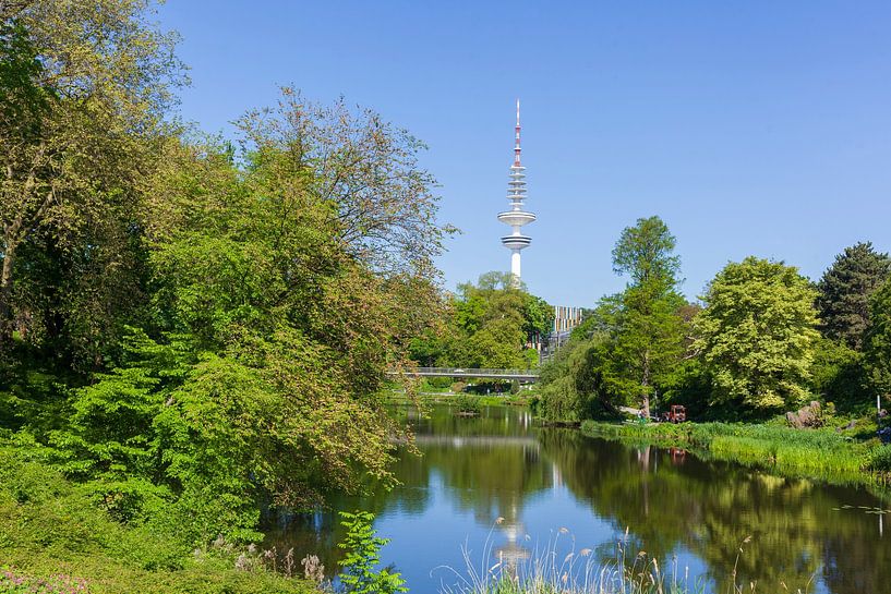 Park Planten un Blomen by Torsten Krüger