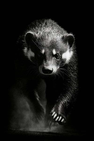 Marten by Poster Art Shop