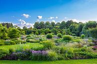 Vlindertuin van Stefan Wapstra thumbnail