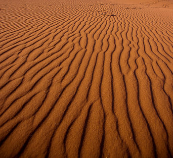 Abstract detail van de zandbodem 