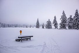 Langlaufrunde bei bestem Kaiserwetter im verschneiten Thüringer Wald bei Floh-Seligenthal - Thüringen - Deutschland von Oliver Hlavaty