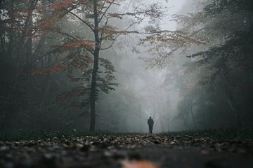 Waldspaziergang von Thomas Kuipers