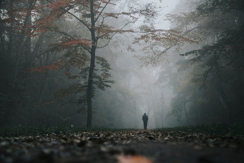 Promenade en forêt par Thomas Kuipers