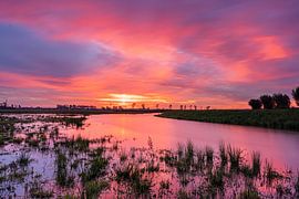 Sonnenaufgang auf den Binnenveld-Heufeldern von Albert Lamme