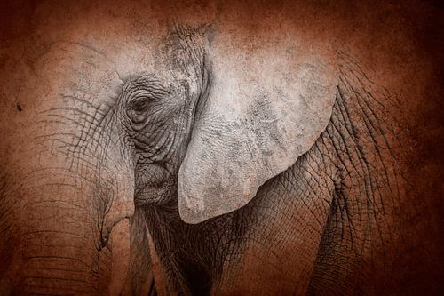 Verwobener Zeit-Elefant in einer abstrakten Textur