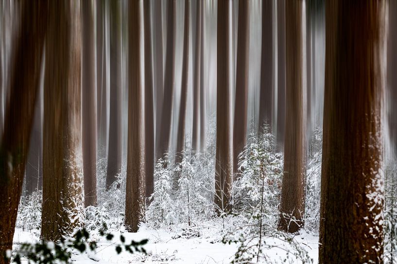 Sprookjeswinter van Bart Verbrugge