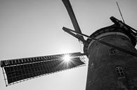 Dutch Windmill von Adriana Zoon Miniaturansicht
