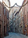 Christmas Garlands Citta della Pieve Umbria by Dorothy Berry-Lound thumbnail