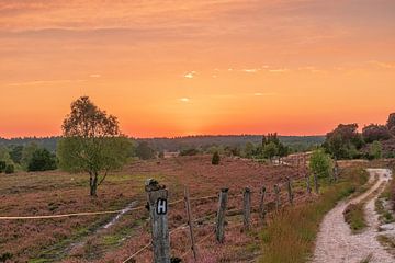 Heidschnuckenweg van Dieter Rabenstein