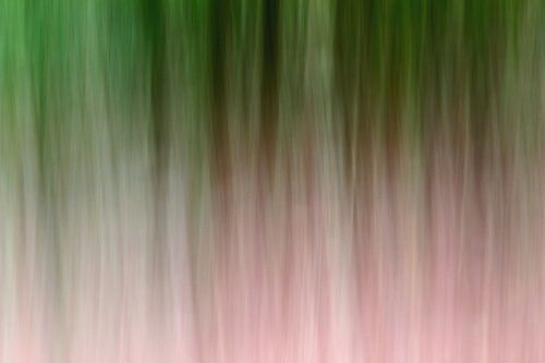 lost in the woods - abstract forest by lieve maréchal