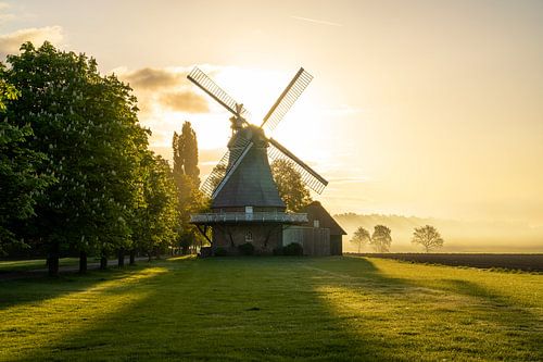 Amanda Molen, Stade, Nedersaksen, Duitsland