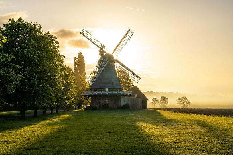 Mühle Amanda, Stade, Niedersachsen, Deutschland von Alexander Ludwig