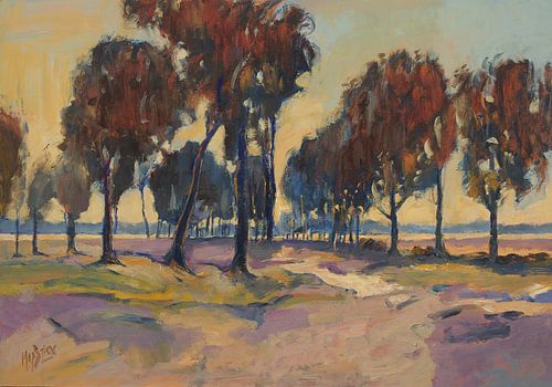 Berken, zand en heide op De Liereman, Turnhout