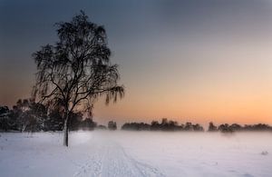 Winter in Limburg van Eus Driessen